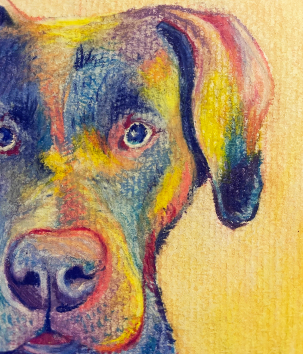 Close-up detail