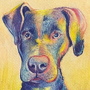Colored pencil drawing of Seamus