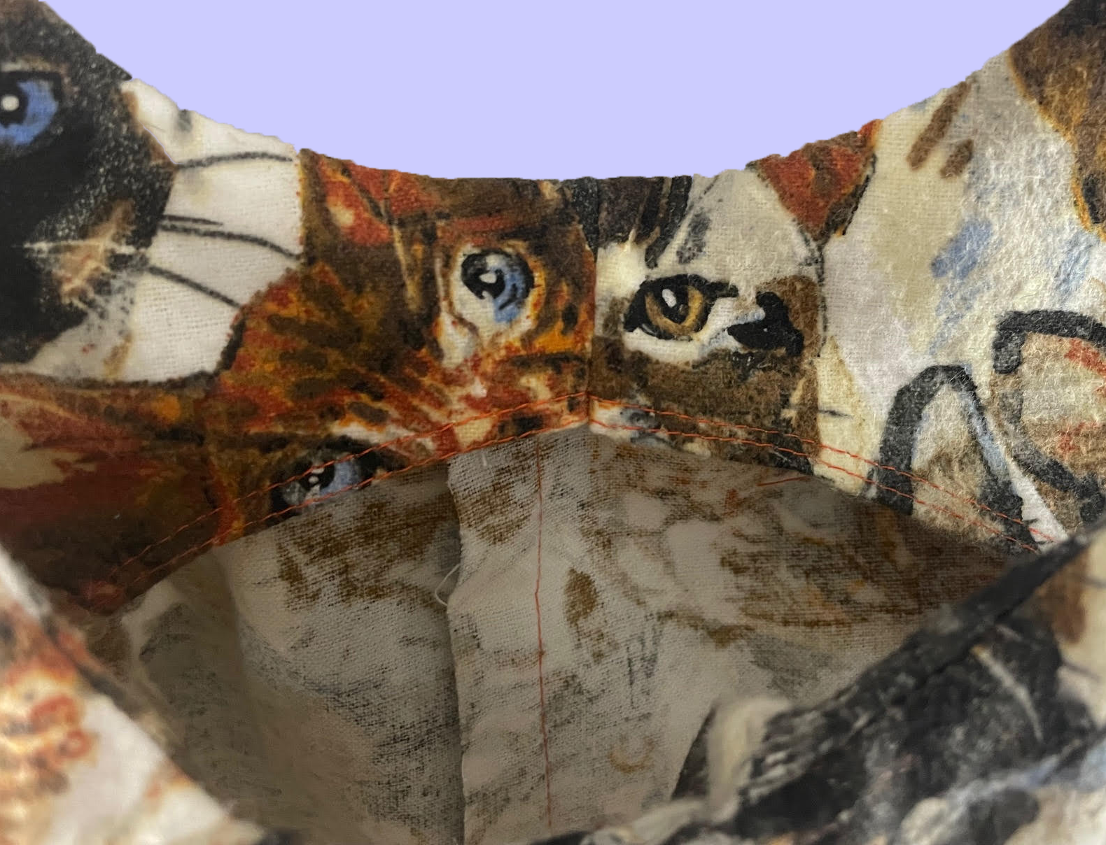 Cat Dress Side View